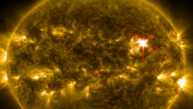 Photo de Warning of it is possible only one day in advance… a catastrophic solar storm that could end the world!