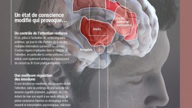 Photo de L’ influence de la méditation sur le cerveau