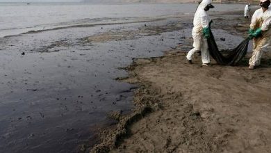 Photo de De cette façon, les Péruviens aident à nettoyer la marée noire