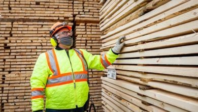 Photo de Le Canada « extrêmement déçu » que les États-Unis augmentent les droits sur le bois d’œuvre résineux
