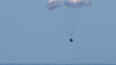 Photo de Les astronautes de SpaceX Crew-2 arrivent en toute sécurité sur Terre