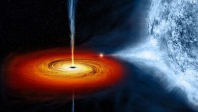 Photo de Une observation sans précédent pourrait indiquer l’inversion magnétique d’un trou noir