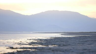 Photo de La mer de Salton pourrait produire le lithium le plus vert du monde