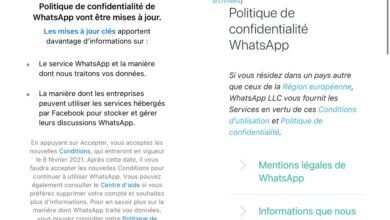 Photo de WhatsApp Premium : l’application aura une version payante spécialement pour les entreprises