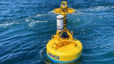 Photo de Des bouées robotisées contribuent à la sécurité des baleines dans l’océan Atlantique