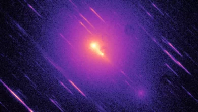 Photo de Une comète extraterrestre géante se dirige vers le Soleil