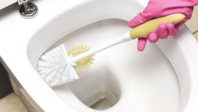 Photo de Comment nettoyer efficacement vos toilettes avec une brosse adéquate